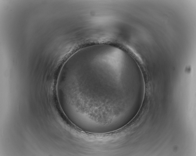 X0000093730018200710231200