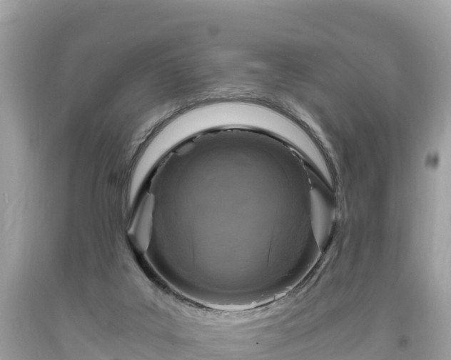 X0000093730019200710231200