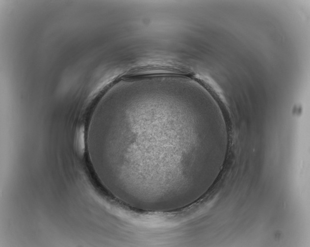 X0000093730020200710231200