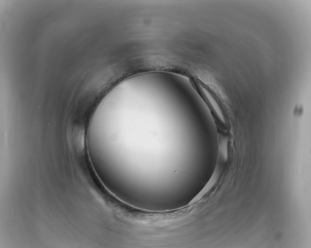 X0000093730021200710231200