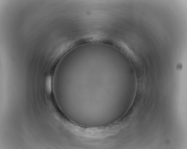 X0000093730022200710231200