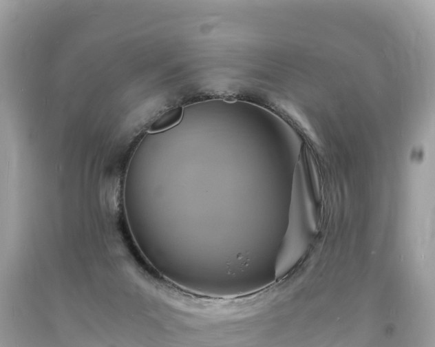 X0000093730023200710231200