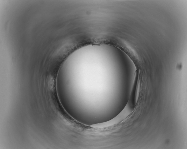 X0000093730025200710231200