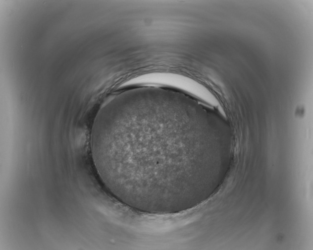 X0000093730029200710231200