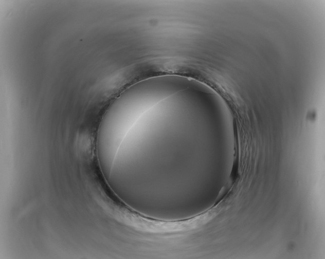 X0000093730031200710231200
