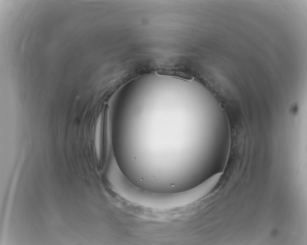 X0000093730033200710231200