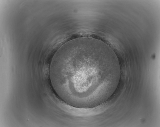 X0000093730034200710231200