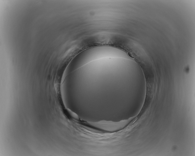 X0000093730035200710231200