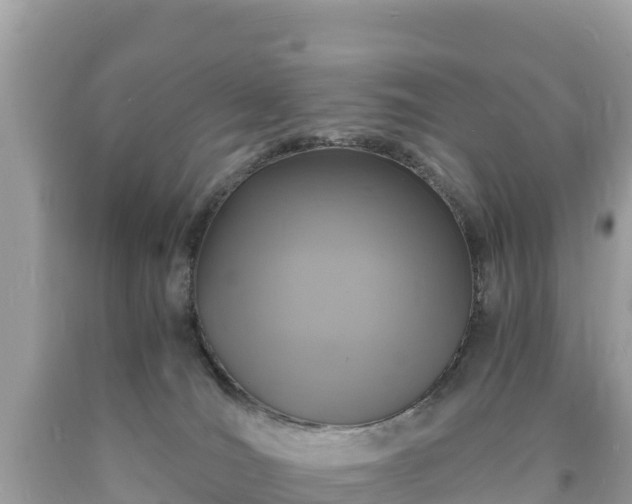 X0000093730036200710231200