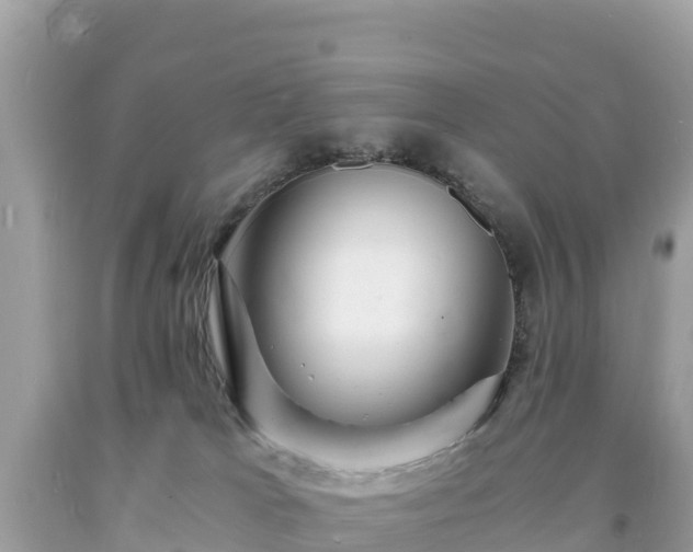 X0000093730037200710231200