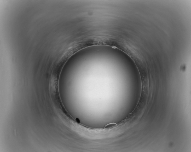 X0000093730038200710231200