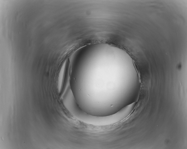 X0000093730045200710231200