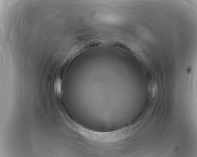 X0000093730046200710231200