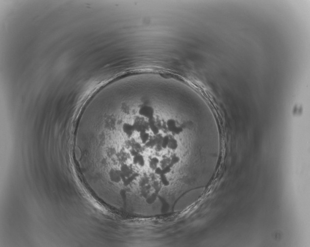 X0000093730049200710231159
