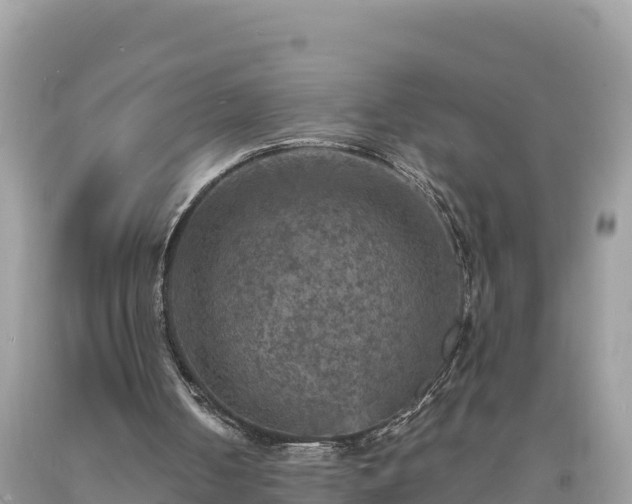 X0000093730050200710231159