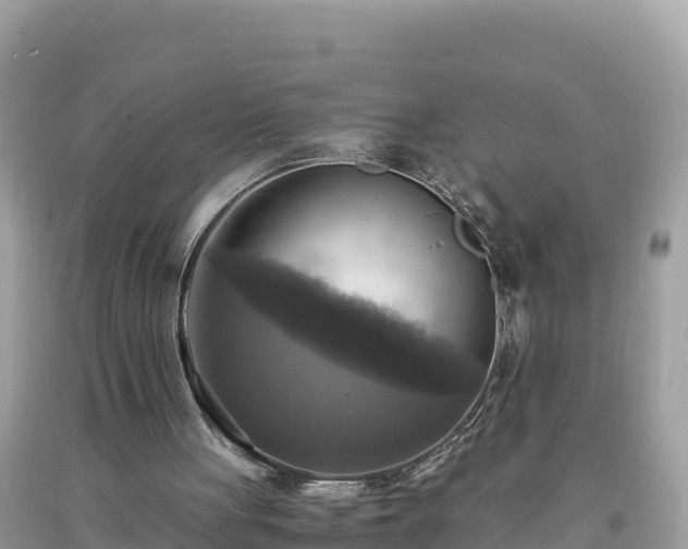 X0000093730051200710231159