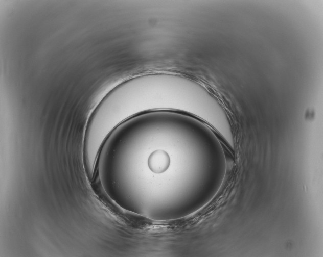 X0000093730052200710231159