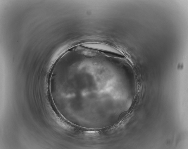 X0000093730053200710231159