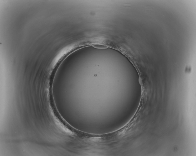 X0000093730054200710231159