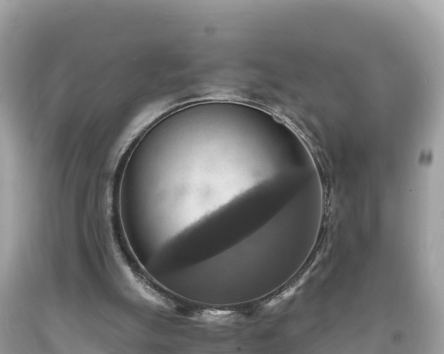 X0000093730055200710231159