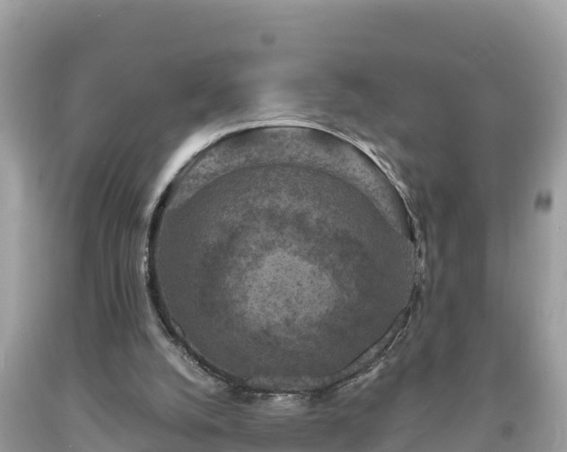 X0000093730056200710231159