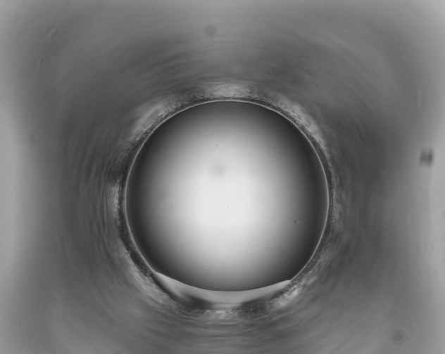 X0000093730057200710231159