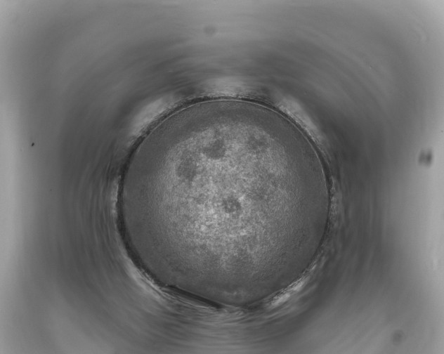 X0000093730058200710231159
