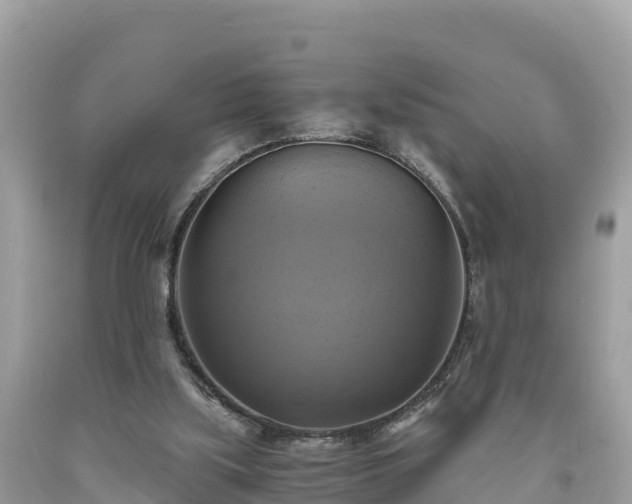 X0000093730059200710231159