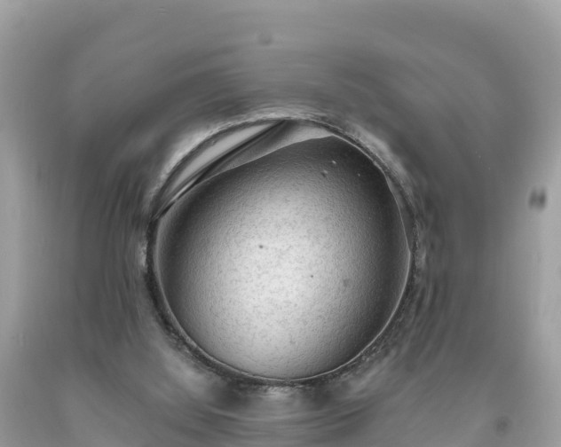 X0000093730060200710231159