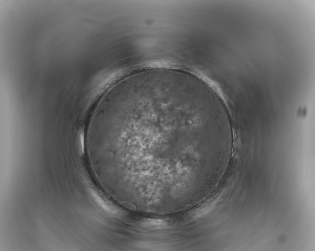 X0000093730061200710231159