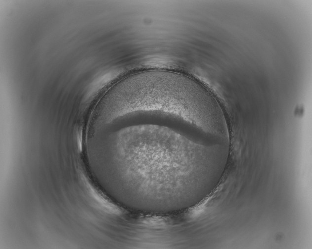 X0000093730062200710231159