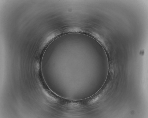 X0000093730063200710231159