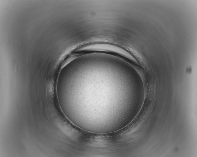 X0000093730064200710231159