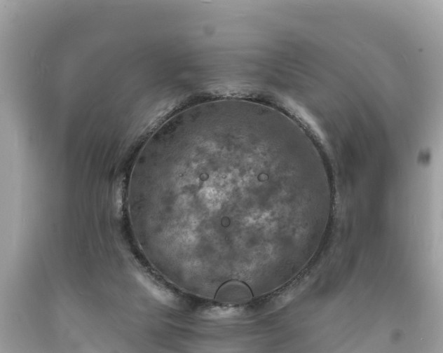 X0000093730065200710231159