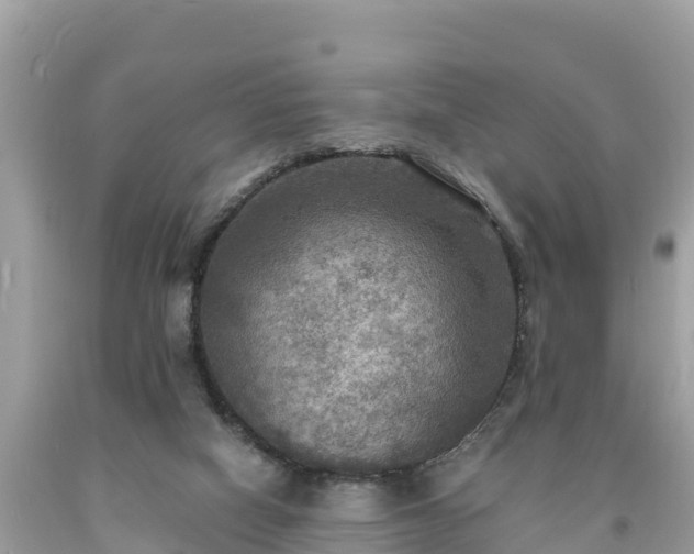 X0000093730066200710231159