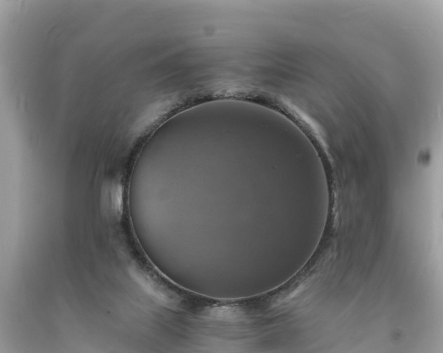 X0000093730067200710231159
