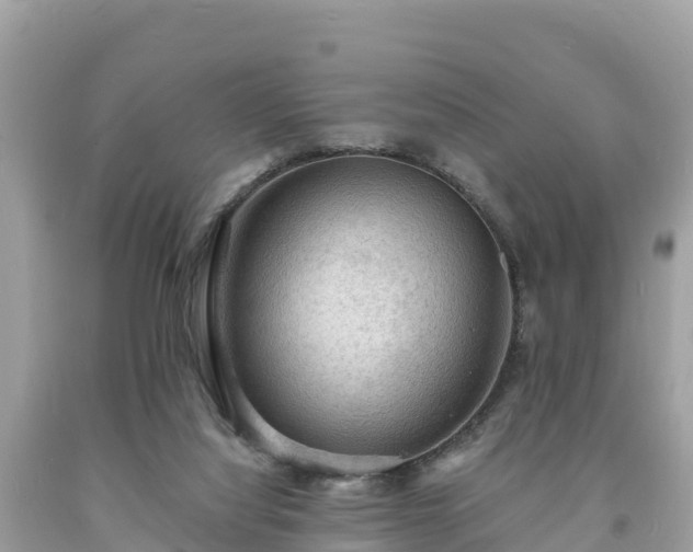 X0000093730068200710231159
