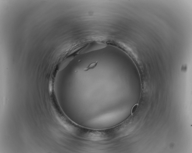 X0000093730069200710231159