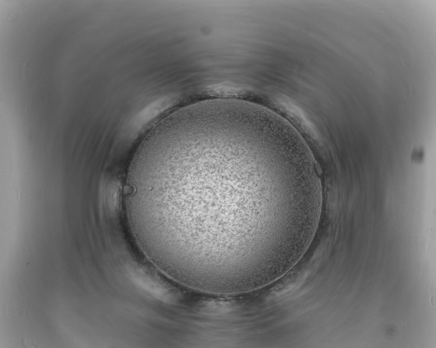 X0000093730071200710231200