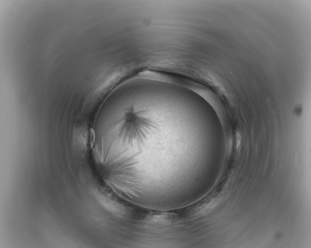 X0000093730072200710231200