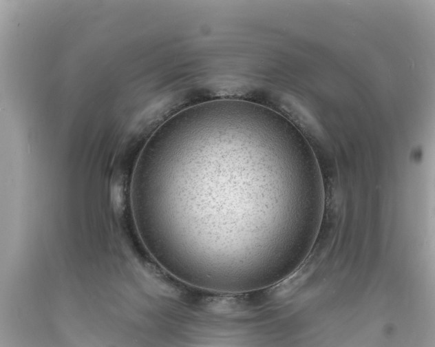 X0000093730074200710231200