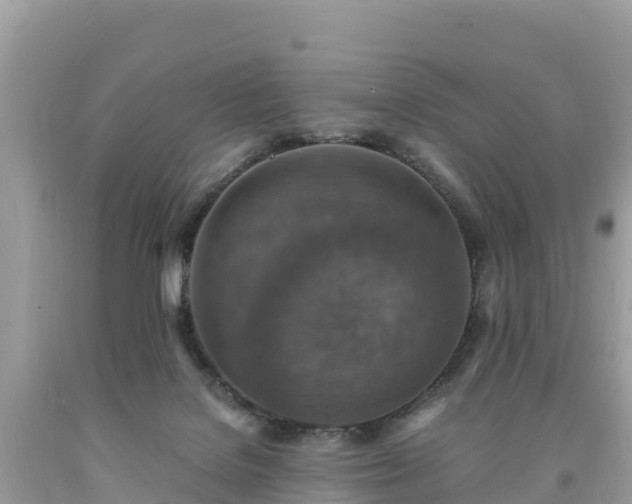 X0000093730076200710231200