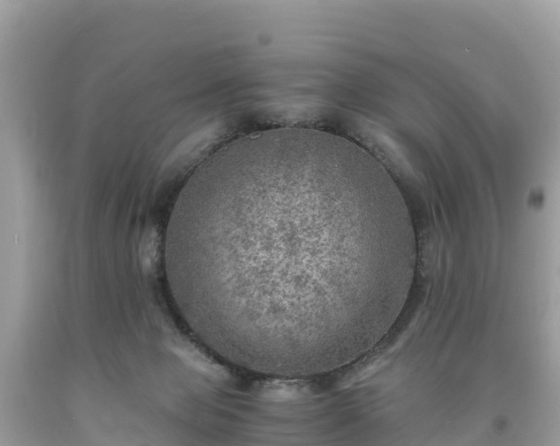 X0000093730077200710231200