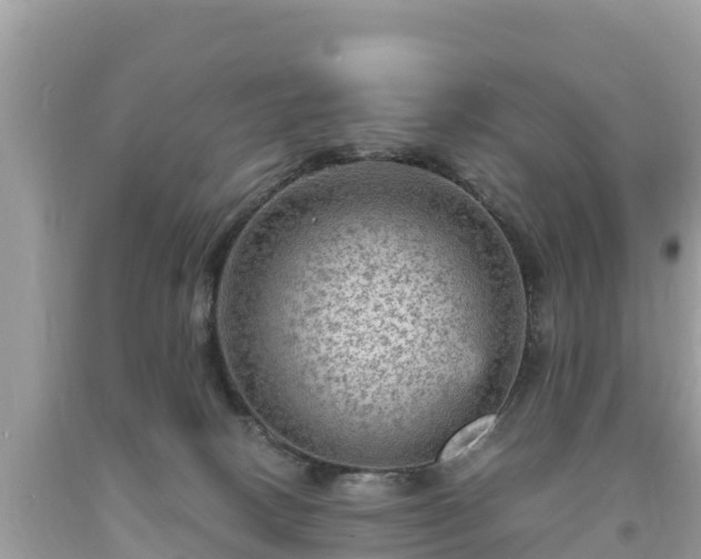 X0000093730082200710231200