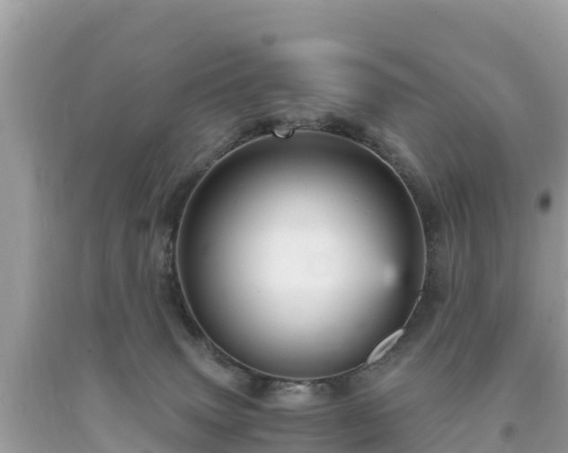 X0000093730083200710231200
