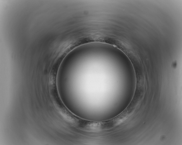 X0000093730084200710231200