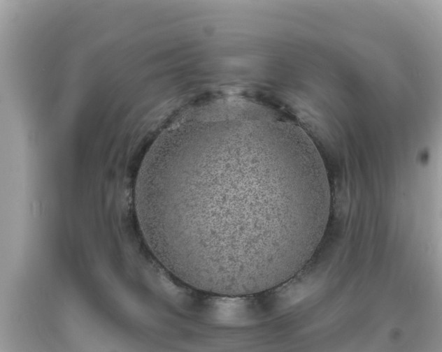 X0000093730085200710231200