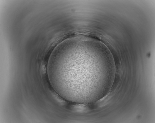 X0000093730086200710231200
