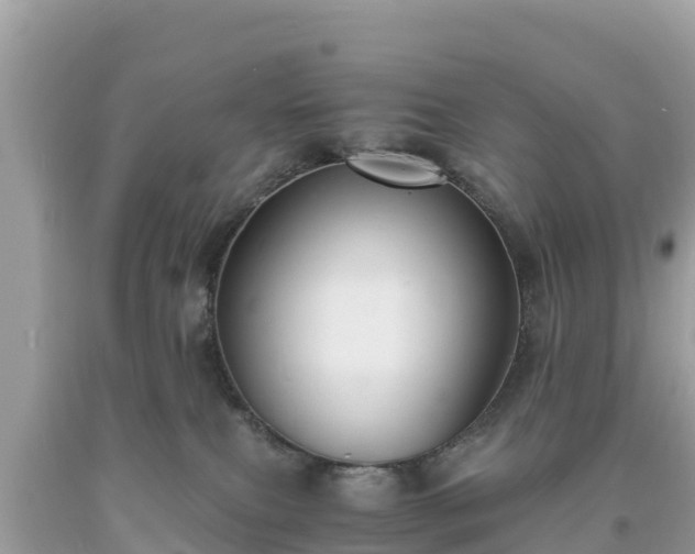 X0000093730087200710231200