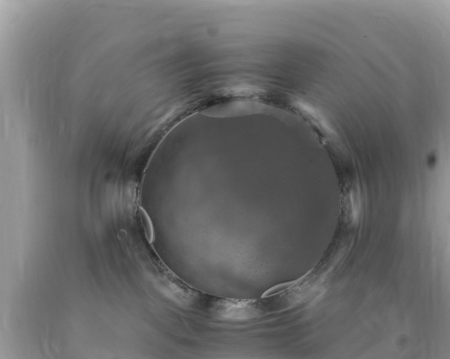 X0000093730093200710231200